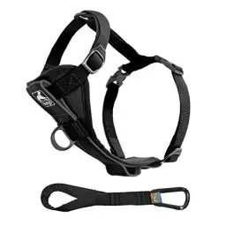 Produktbild: Kurgo Tru-Fit Smart Hundegeschirr, Mit gepolstertem Brustteil und D-Ring, Inklusive Autosicherheitsgurt, Größe M, Schwarz