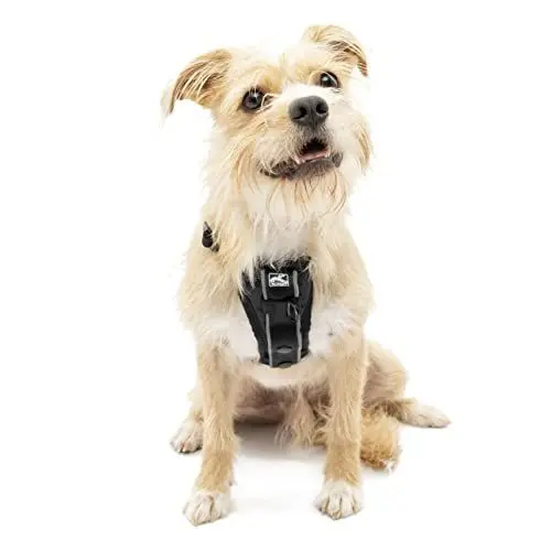 Produktbild: Kurgo Tru-Fit Smart Hundegeschirr, Mit gepolstertem Brustteil und D-Ring, Inklusive Autosicherheitsgurt, Größe XS, Schwarz