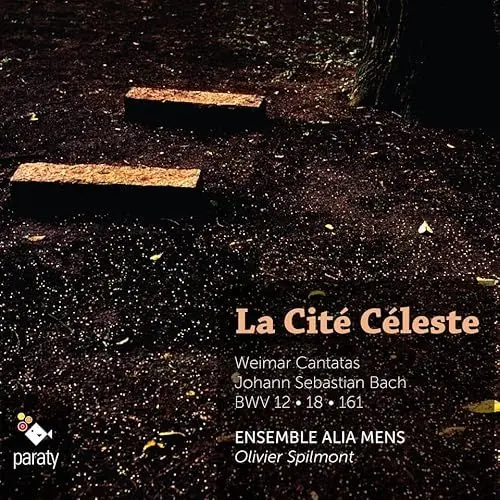 Produktbild: La Cite Celeste
