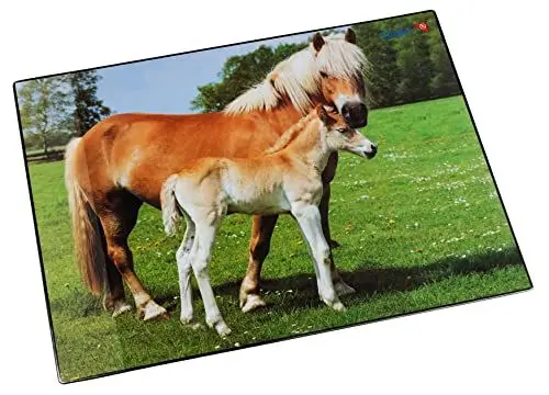 Produktbild: Läufer 46587 Schreibtischunterlage Pferd und Fohlen, 53x40 cm, rutschfeste Schreibunterlage für Kinder, Zubehör für Kinderschreibtisch, mit transparenter Seitentasche