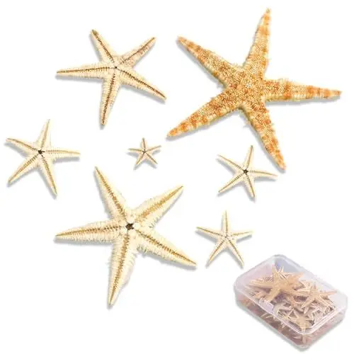 Produktbild: lafomukea Seestern Deko, Deko Muscheln, 20 Stück Natürliche Seesterne Gemischt, 3-5cm Seestern für Heimdekoration, Hochzeitsdekoration und Bastelprojekte