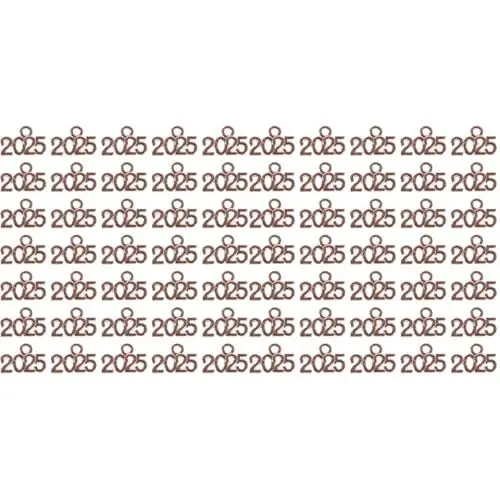 Produktbild: LALAFINA 200 StüCk 2025 Quasten-Charm, 2025er-AnhäNger FüR 2025 Quasten-Abschluss FüR Quaste Diy Schmuckherstellung Halskette ArmbäNder SchlüSselanhäNger