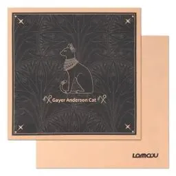 Produktbild: Lammcou Brillenputztücher Brillentücher Mikrofaser optikerqualität Brillenreinigungstücher Fusselfrei Microfibre Glass Cleaning Cloth für Kamera Display Handys Tablet Gläser, 25 * 25cm, Schwarz (2)