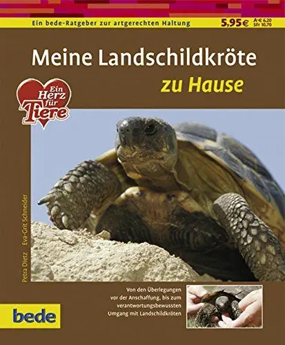 Produktbild: Landschildkröte, zu Hause