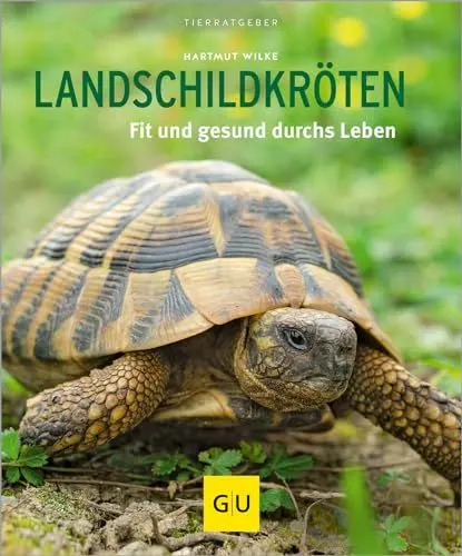 Produktbild: Landschildkröten: Fit und gesund durchs Leben