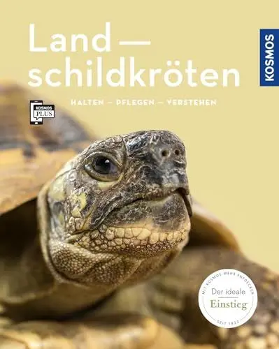 Produktbild: Landschildkröten: halten, pflegen, verstehen (Mein Tier)