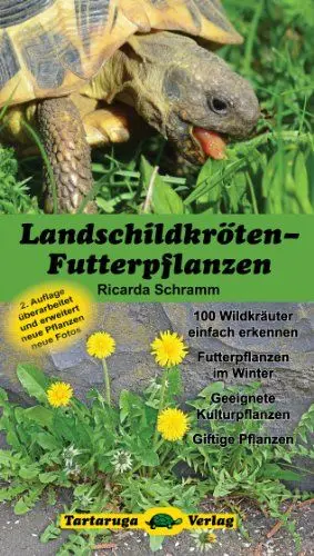 Produktbild: Landschildkröten-Futterpflanzen