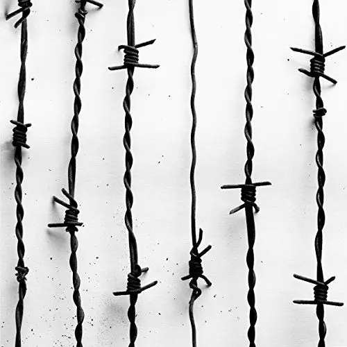 Produktbild: Lang Lebe der Tod