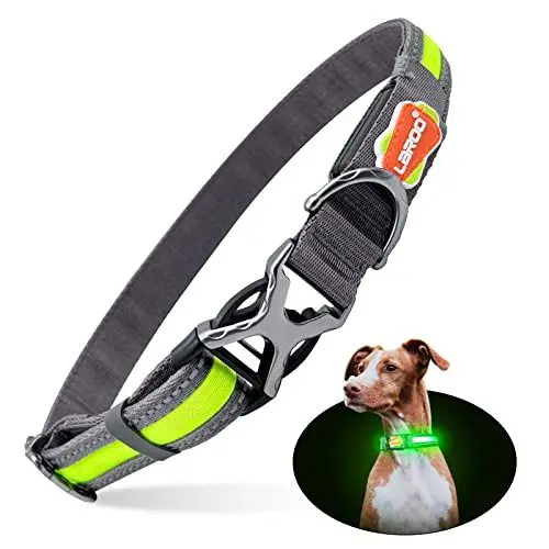 Produktbild: LaRoo LED Leuchthalsband Hund USB Aufladbar Nylon Robuste Edelstahl-Metallschnalle Einstellbar Nacht Leuchte Hundehalsband Halsband für Große Hunde Langhaar (L:2.5*(43-64) cm)