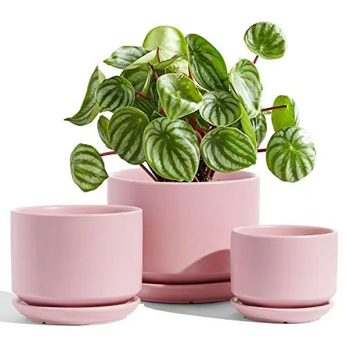 Produktbild: LE TAUCI 3er Pack Keramik Blumentöpfe, 11+13+17 cm Durchmesser Klein Übertöpfe Set, Blumentopf für Zimmerpflanzen mit Untersetzer und Abflussloch, Rosa