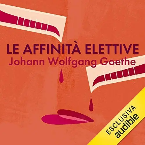 Produktbild: Le affinità elettive