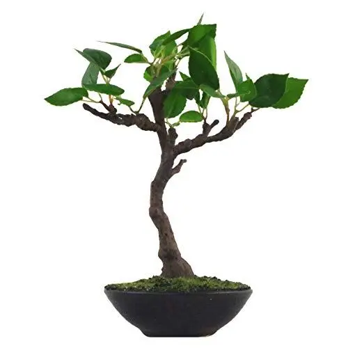Produktbild: Leaf Künstlicher Baum, Verschiedene Materialien, Mini-Bonsai, 25 cm