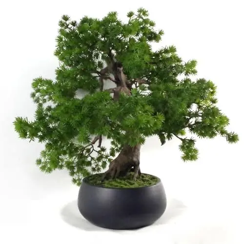 Produktbild: Leaf Künstlicher Kleiner Bonsai-Baum.