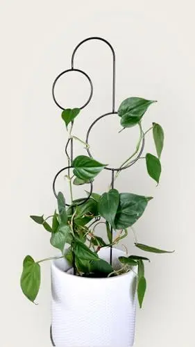 Produktbild: LEAFLO Bubbles Rankhilfe für Zimmerpflanzen 70 cm | Metall - Pflanzenstütze - Rankgitter - Blumengitter | Innenraum Dekoration | Innen-/Außen-Pflanzenwand für Topfpflanzen, Pflanzenständer
