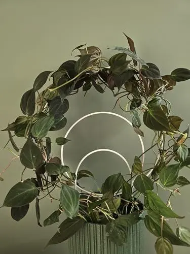 Produktbild: LEAFLO Sunshine Rankhilfe für Zimmerpflanzen 48 cm | Weiß | Metall - Pflanzenstütze - Rankgitter - Blumengitter | Innenraum Dekoration | Für Pflanzenliebhaber