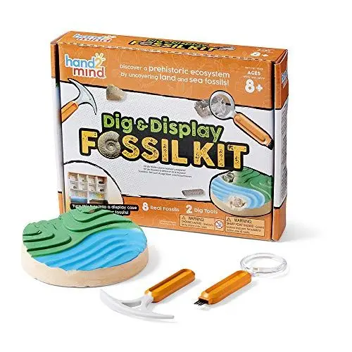 Produktbild: Learning Resources Fossilien-Set zum Ausgraben und Präsentieren, für Kinder von 8 bis 12, naturwissenschaftlicher Baukasten für Kinder, mit echten Fossilien