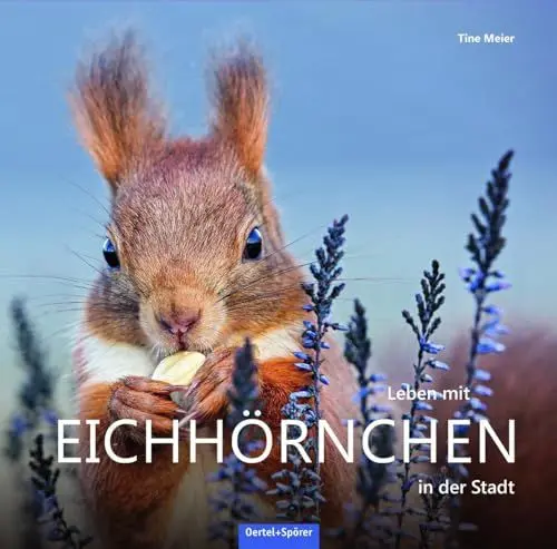 Produktbild: Leben mit Eichhörnchen in der Stadt