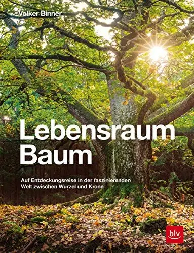 Produktbild: Lebensraum Baum: Auf Entdeckungsreise in der faszinierenden Welt zwischen Wurzel und Krone (BLV Bäume & Pflanzen)