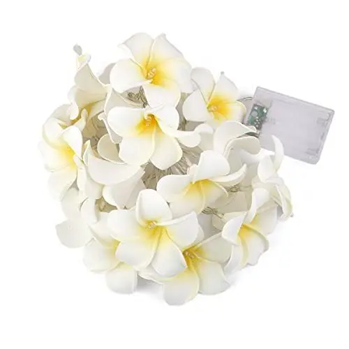 Produktbild: LEDMOMO Lichterkette mit 20 LEDs, Frangipani-Blume, batteriebetrieben, warmweißes Licht
