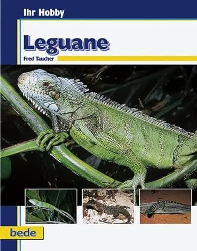 Produktbild: Leguane, Ihr Hobby