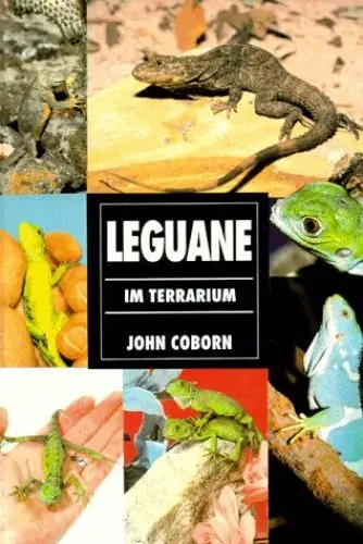 Produktbild: Leguane im Terrarium