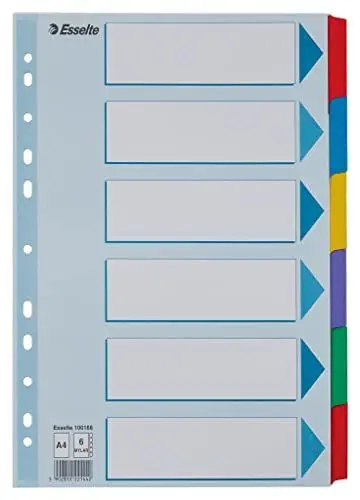 Produktbild: Leitz Esselte Register für A4, Deckblatt und 6 Trennblätter mit Taben, Blau/Mehrfarbig, Recyclingkarton, 100168