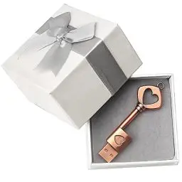 Produktbild: LEIZHAN 32GB USB Stick mit Kasten Speicherstick USB-Flash-Laufwerk Memory Stick Flash-Speicher-Stick Pen Drive für Laptop Computer PC Windows (32GB, Schlüssel)