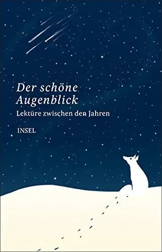 Produktbild: Lektüre zwischen den Jahren: Der schöne Augenblick (insel taschenbuch)