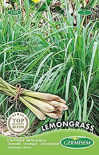 Produktbild: LEMON GRASS