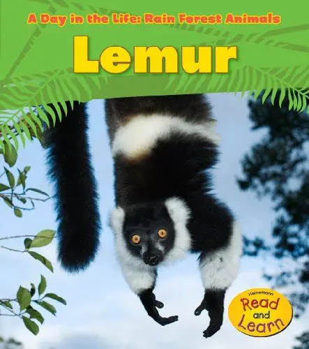 Produktbild: Lemur (A Day in the Life: Rain Forest Animals)