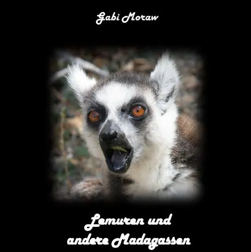 Produktbild: Lemuren und andere Madagassen