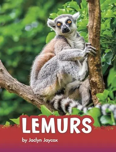 Produktbild: Lemurs (Animals)