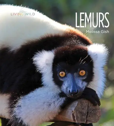 Produktbild: Lemurs (Living Wild)