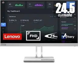 Produktbild: Lenovo L25e-40 | 24,5