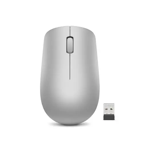 Produktbild: Lenovo (Maus) 530 Kabellose Funkmaus, works with Chromebook (WWCB), grau