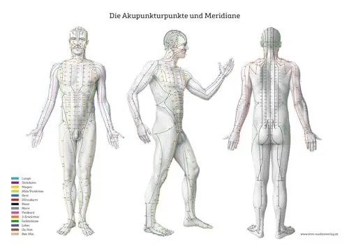 Produktbild: Lernposter – Die Akupunkturpunkte und Meridiane: Von vorne, von hinten und von der Seite