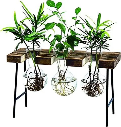 Produktbild: Hydroponics Glasvasen, Luftpflanzen Terrarium Schreibtisch Glasvase mit Holz Deko Propagationsstationen für Büro Haus Garten Dekor - 3 Bulb Vasen