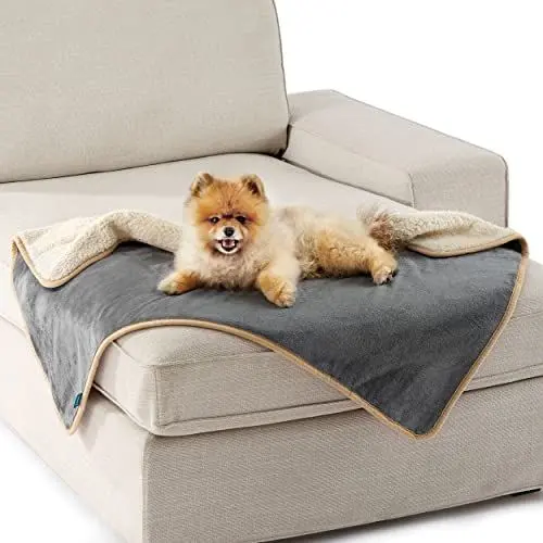 Produktbild: Lesure wasserdichte Hundedecke kleine Hunde - 80x60cm Outdoor Hundedecke waschbar, Hundedecke Sofaschutz aus Sherpa Fleece, Katzendecke flauschig und weich, Grau