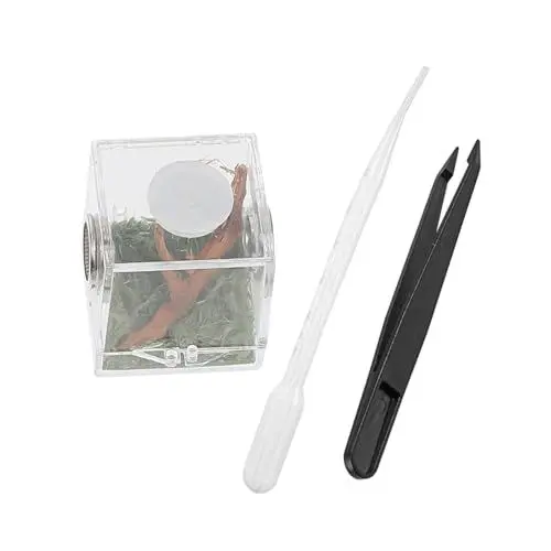Produktbild: Levemolo 1 Satz Transparente Reptilien Fütterungsbox Stabile Zuchtbox aus für Spinnen und Insekten Praktische Aufbewahrung für Terrarien und Reptilienbedarf
