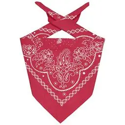 Produktbild: Levi's Herren Paisley Bandana Tuch, Rot (Regular Red), Einheitsgröße