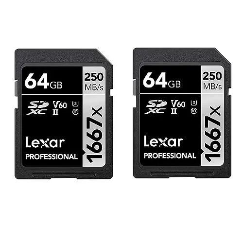 Produktbild: Lexar Professional 1667x SD Karte 64GB 2er-Pack, Speicherkarte SDXC UHS-II, Bis zu 250 MB/s Lesen, Class 10, U3, V60, SD für Professionelle Fotografen, Videofilmer, Enthusiasten (LSD1667064G-B2NAA)