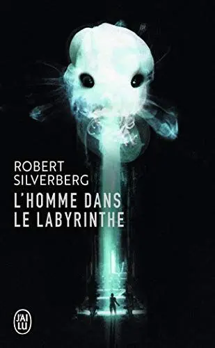 Produktbild: L'homme dans le labyrinthe