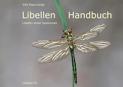 Produktbild: Libellen Handbuch: Libellen sicher bestimmen