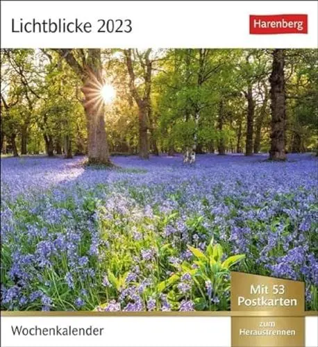 Produktbild: Lichtblicke Postkartenkalender. Kalender zum Aufstellen oder Aufhängen. Postkarten-Tischkalender 202 mit beeindruckenden Fotos bekannter Künstler.: Wochenkalender mit 53 Postkarten