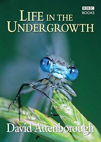Produktbild: Life in the Undergrowth