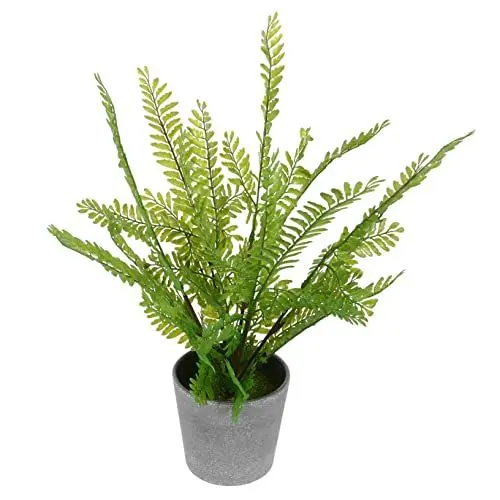 Produktbild: LIFKOME 1stück Künstliche Bonsai-Pflanze Lebensechte Farnartige Tischdekoration Für Wohnzimmer Schreibtisch Und Wohnraum Pflegeleichte Kunstpflanze Für Stimmungsvolle Akzente