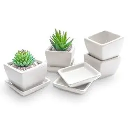 Produktbild: Ligano® Sukkulenten Töpfe aus Keramik mit Untersetzer – Weiße Blumentöpfe für Zierpflanzen – 4er Set