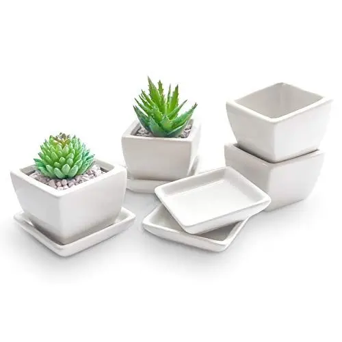 Produktbild: Ligano® Sukkulenten Töpfe aus Keramik mit Untersetzer – Weiße Blumentöpfe für Zierpflanzen – 4er Set
