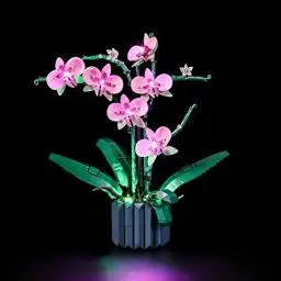 Produktbild: LIGHTAILING Licht-Set Für Lego-10311 Orchidee - Led-Beleuchtungsset Kompatibel Mit Lego Bausteinen Modell - Modell Set Nicht Enthalten