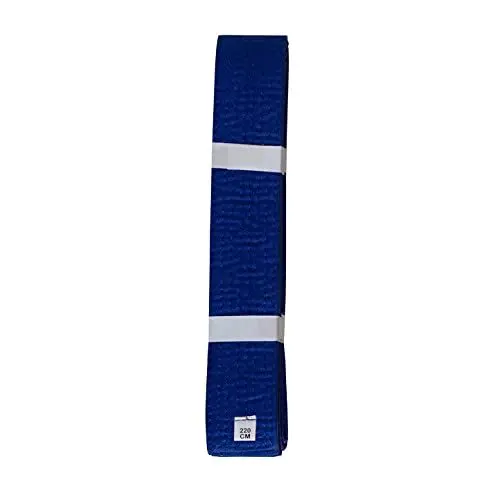 Produktbild: Lisaro kampfsportgürtel Karate Judo Taekwondo Ju Jutsu BJJ Gürtel Gr. 160-300 cm (blau, 260)